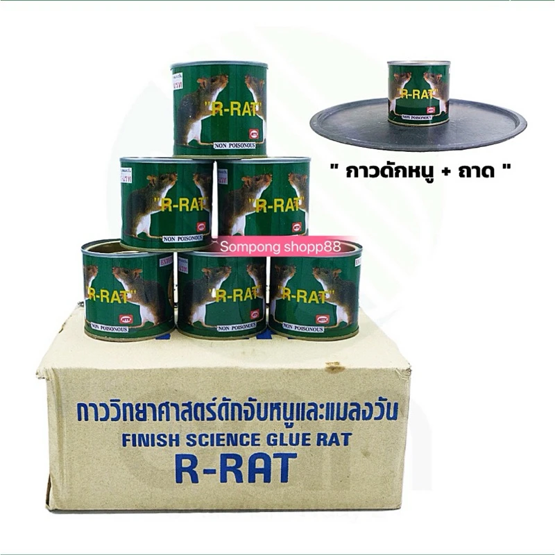กาวดักหนู เล็ก+จาน BIG RAT 10 โหล/มัด