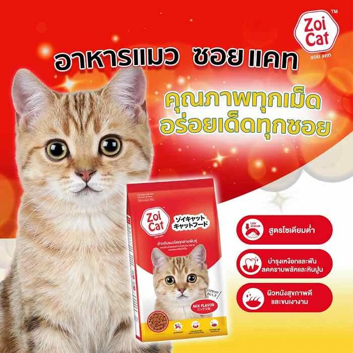 อาหารแมวซอยแคท1กก.