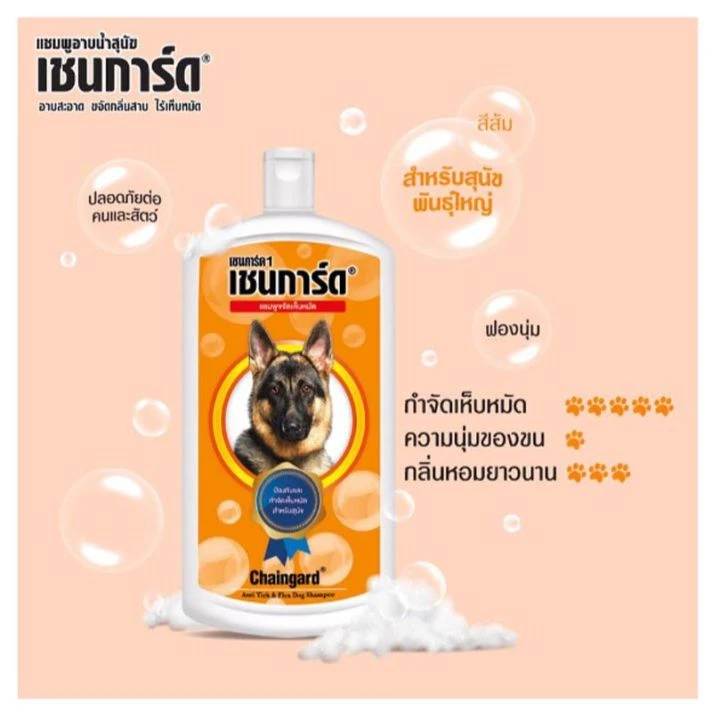 เชนการ์ด1 (สีส้ม) 200มล.