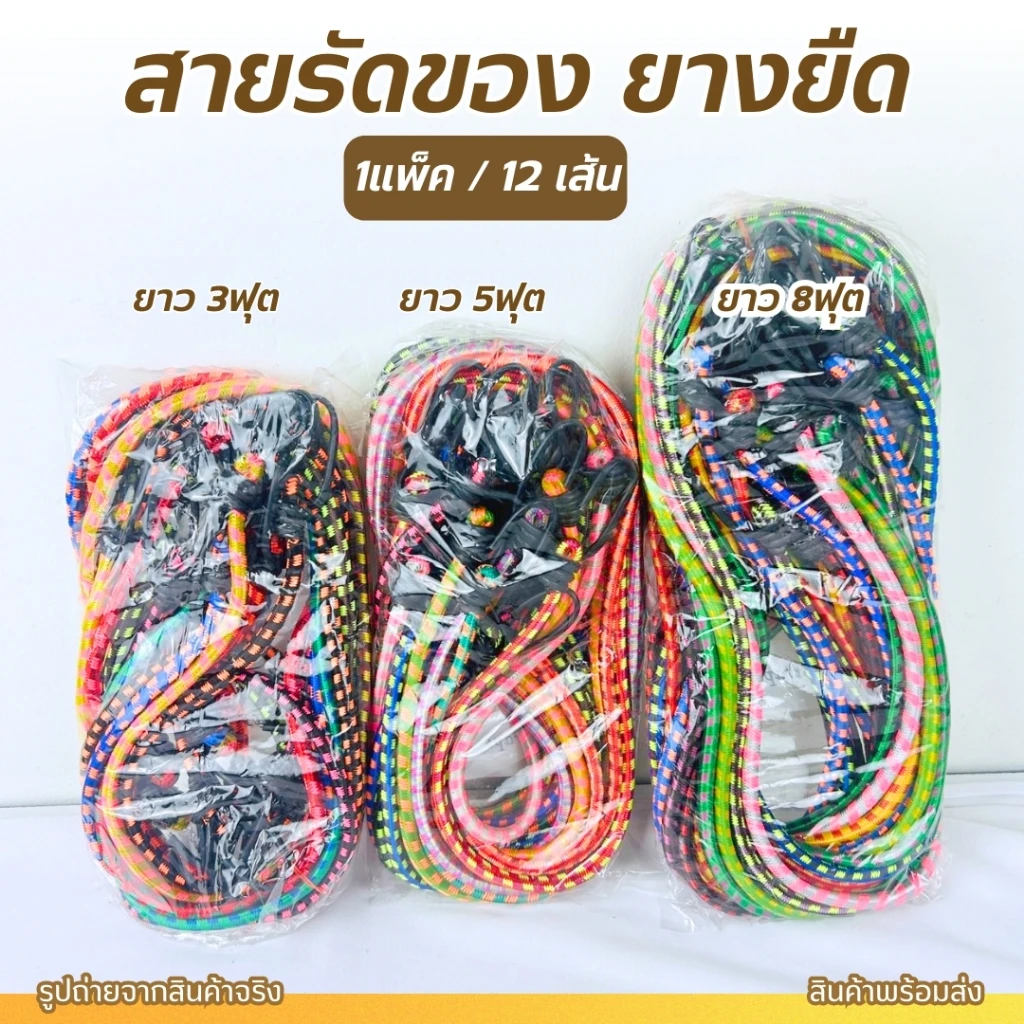 สายรัด8 ฟุต 12 เส้น