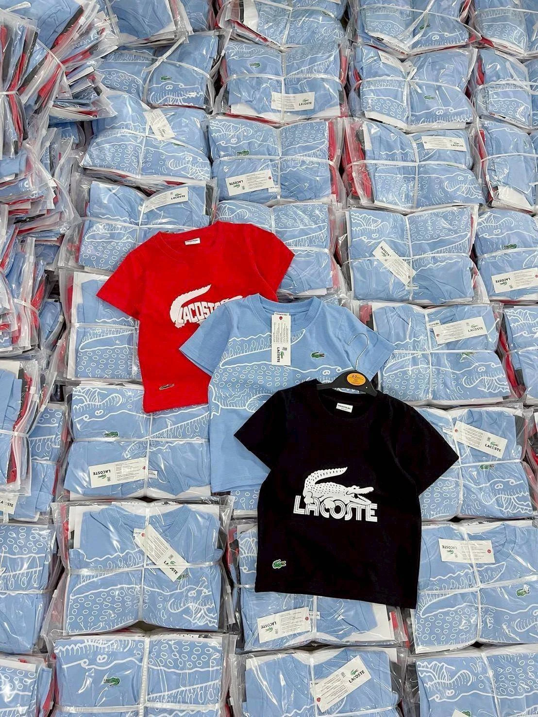 เสื้อยืดเด็กลาย LACOSTE 1 แพค มี 3 ตัว ขนาด 100-150