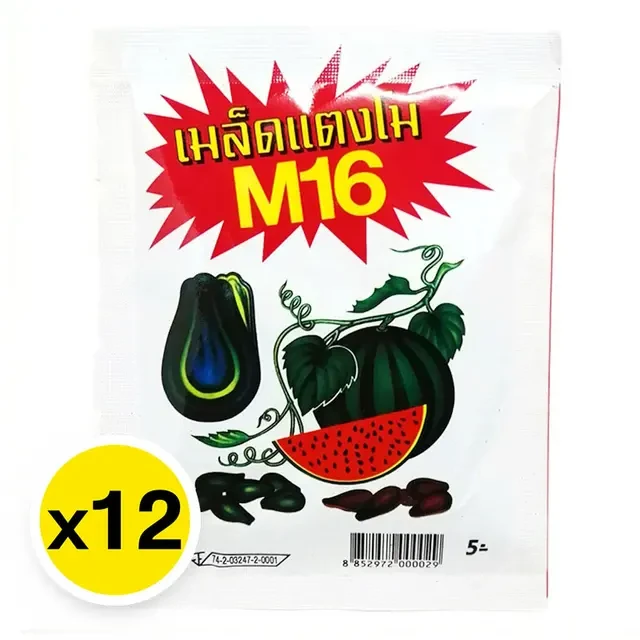เมล็ดแตงโม15กรัม12ซอง