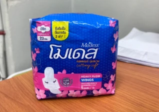 โมเดสเฮฟวี่โฟลมีปีก23 ซ.ม 5ชิ้น
